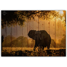 Оранжевое панно для стен Creative Wood Африка Африка - Слон в пустыне